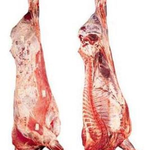 FROZEN-BEEF-CARCASS